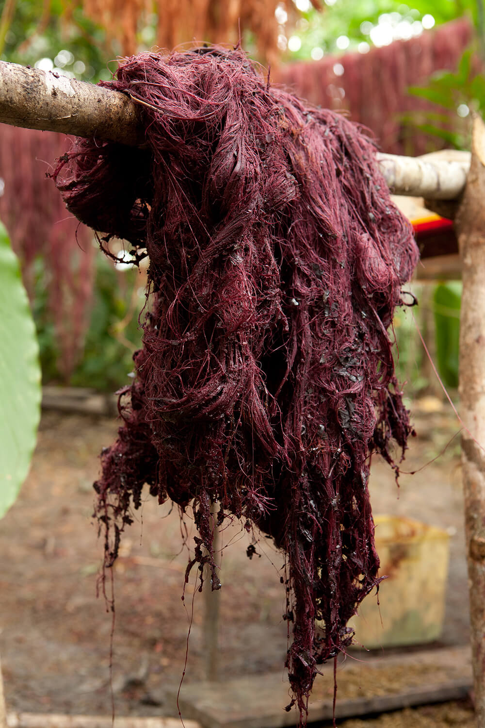 HUITILLO 38_galeria45 _MG_6786.jpg